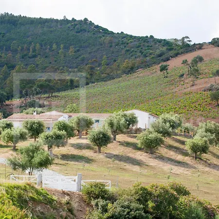 Villa Tenute Filaris - Belocations *