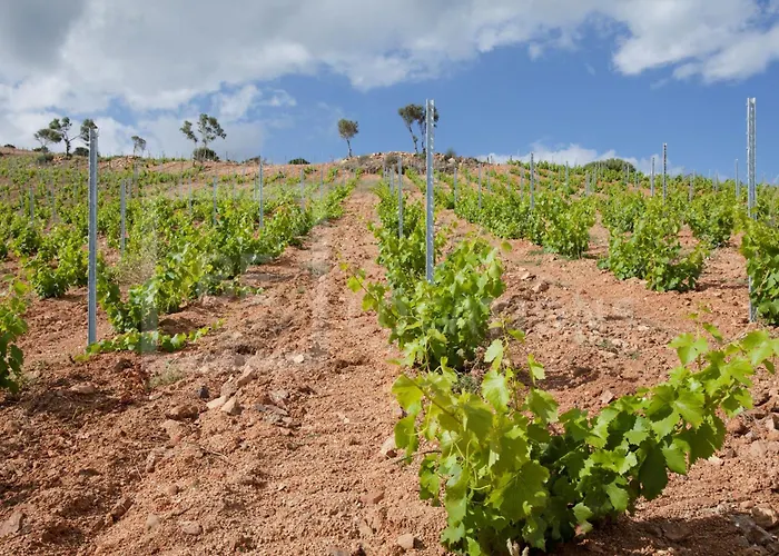 Belocations - Verdalma Con Piscina Pirivata * 维拉西米乌斯