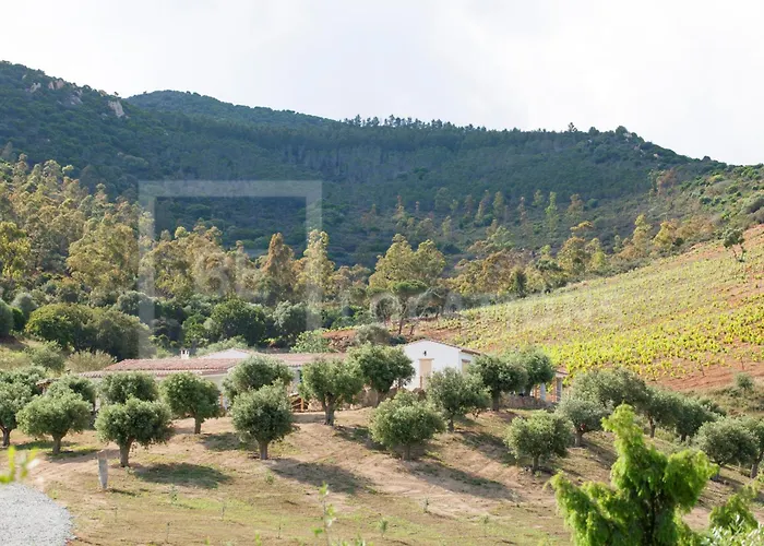 Belocations - Verdalma Con Piscina Pirivata 别墅 维拉西米乌斯